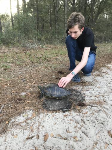 Best een grote schildpad en Hielke durft hem aan te raken.